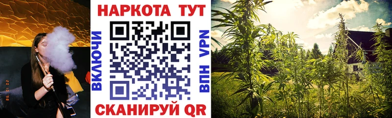 Наркота Шуя Марихуана  Кокаин  Альфа ПВП  ГАШИШ 