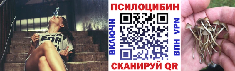 Псилоцибиновые грибы MAGIC MUSHROOMS Шуя